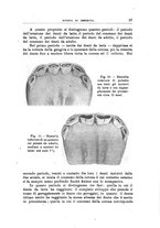 giornale/TO00216864/1943/unico/00000043