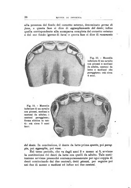 Rivista di zootecnia rassegna mensile di scienza e pratica zootecnica