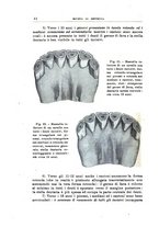 giornale/TO00216864/1943/unico/00000050