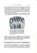 giornale/TO00216864/1943/unico/00000057