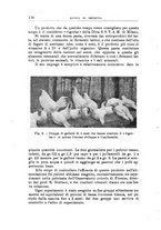 giornale/TO00216864/1943/unico/00000184