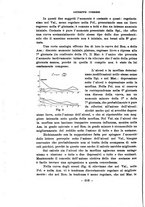 giornale/TO00217310/1920-1921/unico/00000326