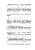 giornale/TO00217311/1905/unico/00000488