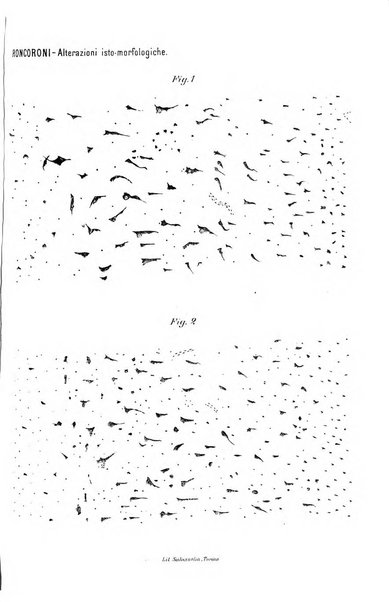 Archivio di psichiatria, neuropatologia, antropologia criminale e medicina legale