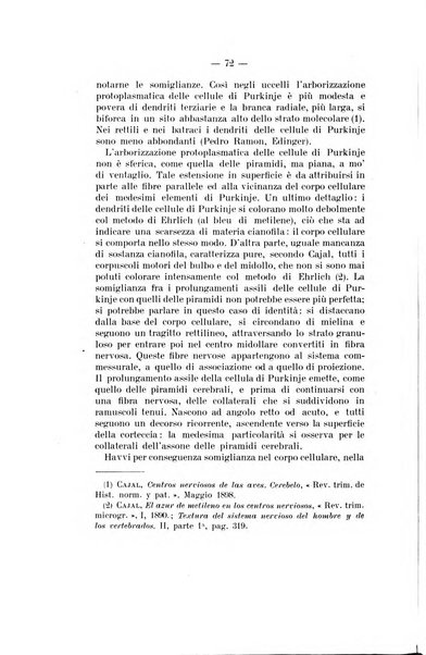 Archivio di psichiatria, neuropatologia, antropologia criminale e medicina legale