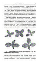 giornale/TO00219359/1934/unico/00000021