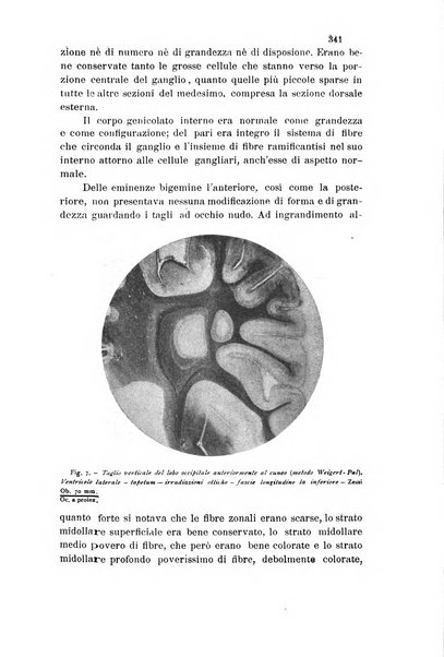 La Clinica oculistica periodico mensile per i medici pratici