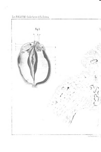 La Clinica oculistica periodico mensile per i medici pratici