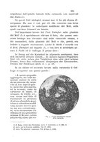 giornale/TO00219453/1901/unico/00000305