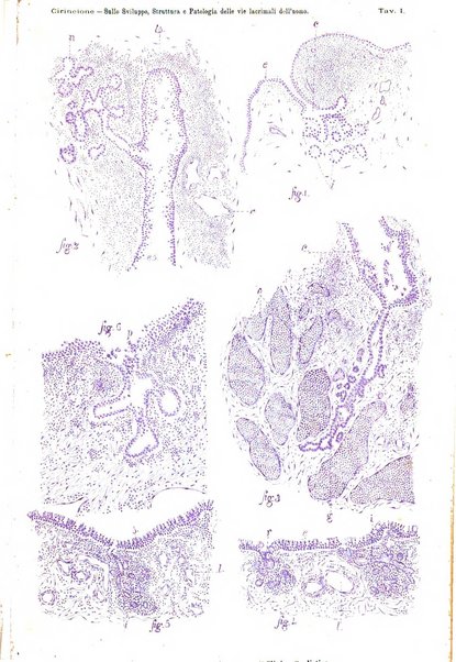 La Clinica oculistica periodico mensile per i medici pratici