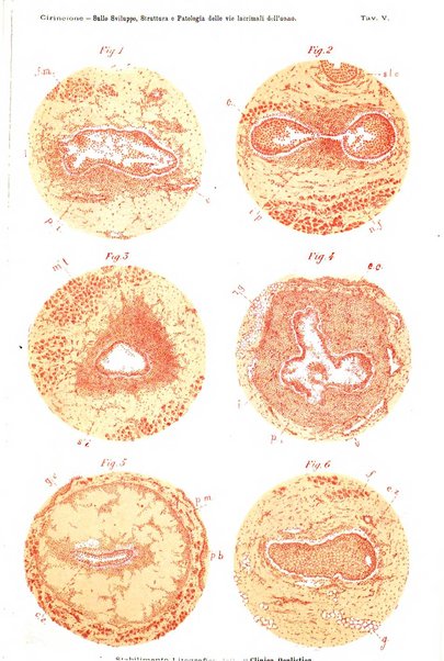 La Clinica oculistica periodico mensile per i medici pratici