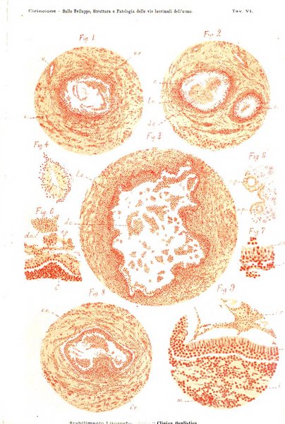 La Clinica oculistica periodico mensile per i medici pratici