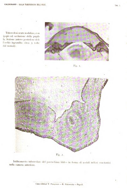 La Clinica oculistica periodico mensile per i medici pratici