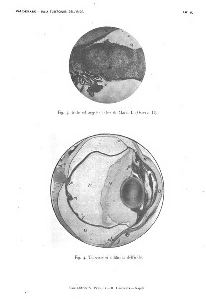 La Clinica oculistica periodico mensile per i medici pratici