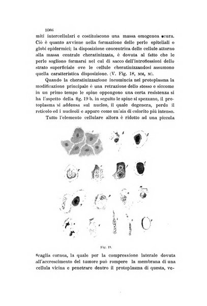 La Clinica oculistica periodico mensile per i medici pratici