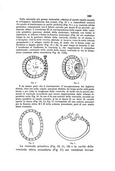 La Clinica oculistica periodico mensile per i medici pratici