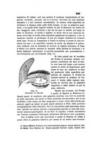 giornale/TO00219453/1905/unico/00000123