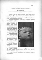 giornale/TO00219453/1905/unico/00000319