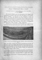 giornale/TO00219453/1906/unico/00000197