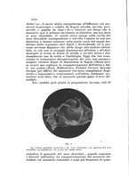 giornale/TO00219453/1907/unico/00000020