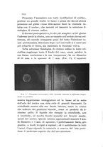 giornale/TO00219453/1908/unico/00000086