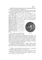 giornale/TO00219453/1909/unico/00000199