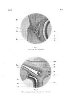 giornale/TO00219453/1909/unico/00000265