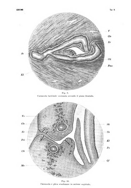 La Clinica oculistica periodico mensile per i medici pratici