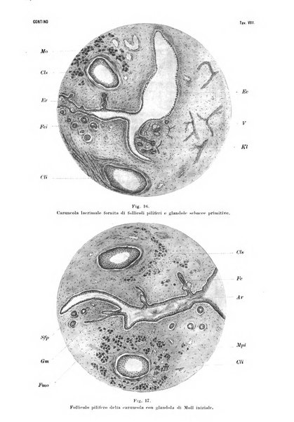 La Clinica oculistica periodico mensile per i medici pratici