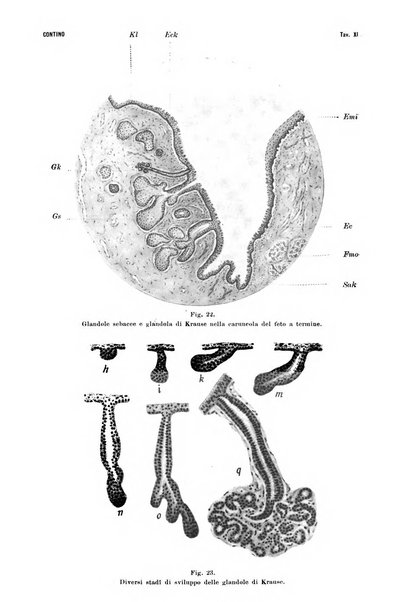 La Clinica oculistica periodico mensile per i medici pratici