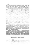 giornale/TO00219453/1909/unico/00000430