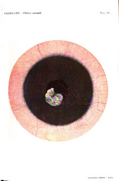 La Clinica oculistica periodico mensile per i medici pratici