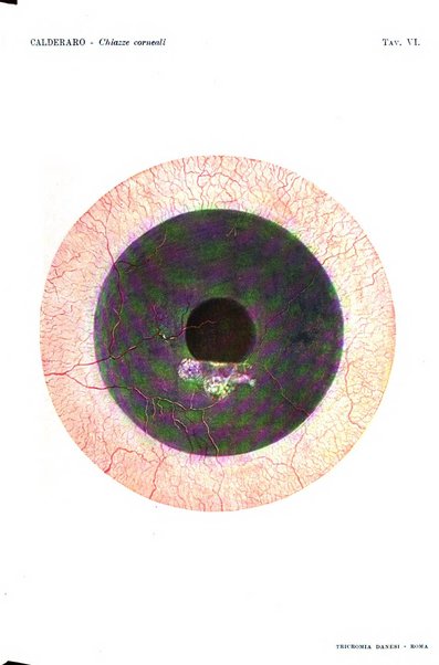 La Clinica oculistica periodico mensile per i medici pratici