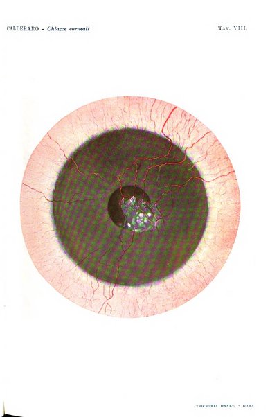 La Clinica oculistica periodico mensile per i medici pratici