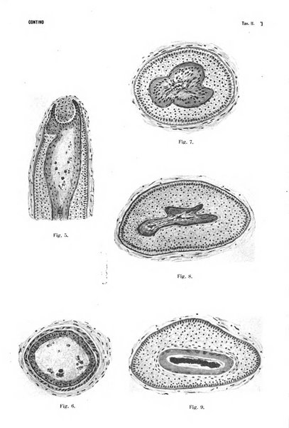 La Clinica oculistica periodico mensile per i medici pratici