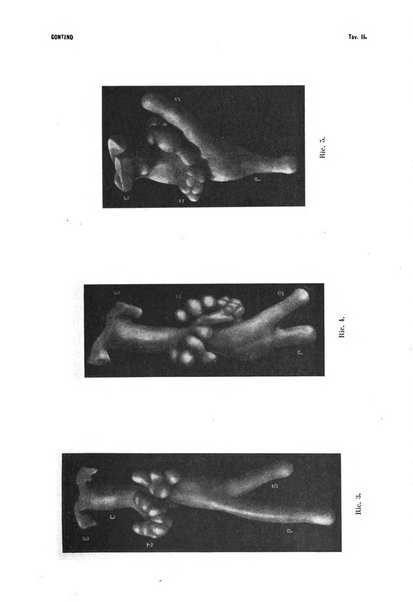 La Clinica oculistica periodico mensile per i medici pratici