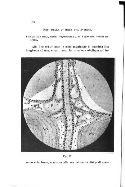 La Clinica oculistica periodico mensile per i medici pratici