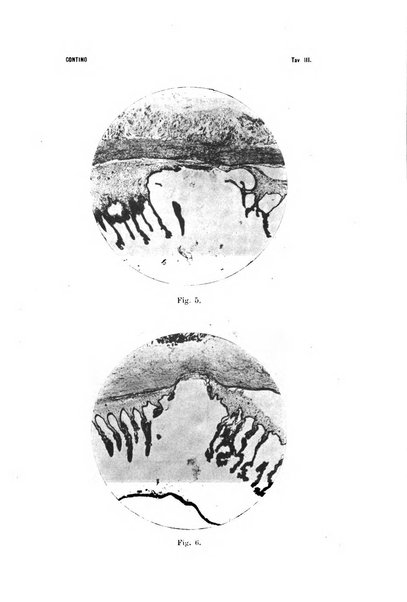 La Clinica oculistica periodico mensile per i medici pratici