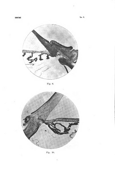 La Clinica oculistica periodico mensile per i medici pratici