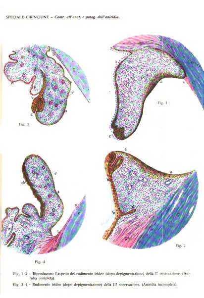 La Clinica oculistica periodico mensile per i medici pratici