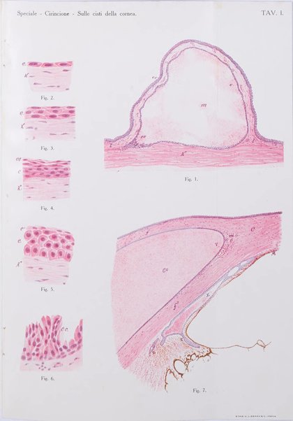 La Clinica oculistica periodico mensile per i medici pratici