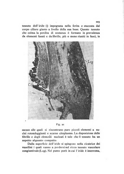 La Clinica oculistica periodico mensile per i medici pratici