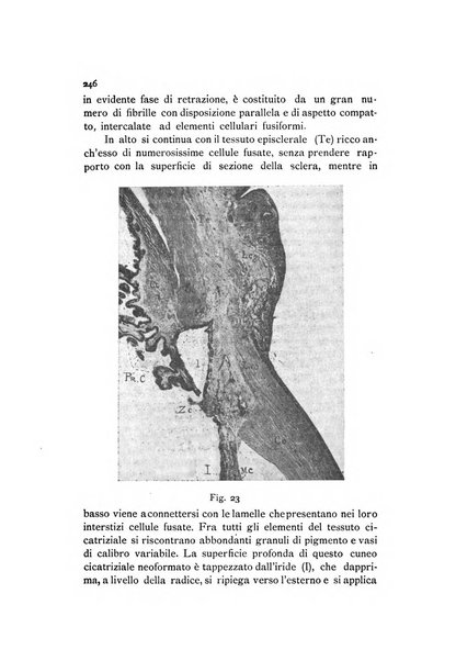 La Clinica oculistica periodico mensile per i medici pratici