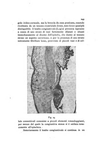 La Clinica oculistica periodico mensile per i medici pratici