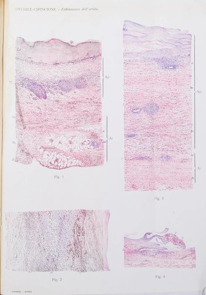 La Clinica oculistica periodico mensile per i medici pratici