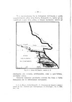 giornale/TO00219803/1941-1942/unico/00000076