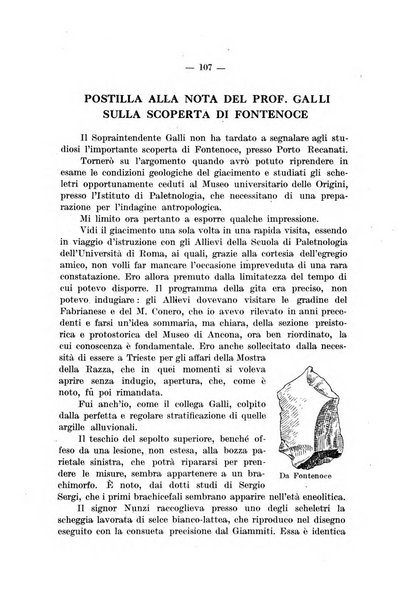 Preistoria bullettino di paletnologia italiana