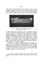 giornale/TO00219803/1941-1942/unico/00000179