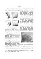 giornale/TO00219803/1943/unico/00000033