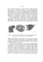 giornale/TO00219803/1943/unico/00000038